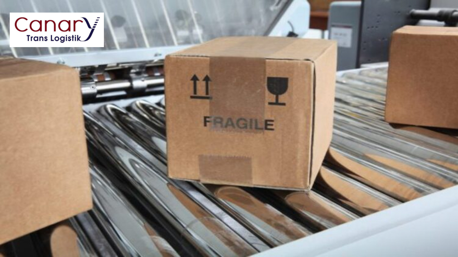 Đặc điểm của Parcel