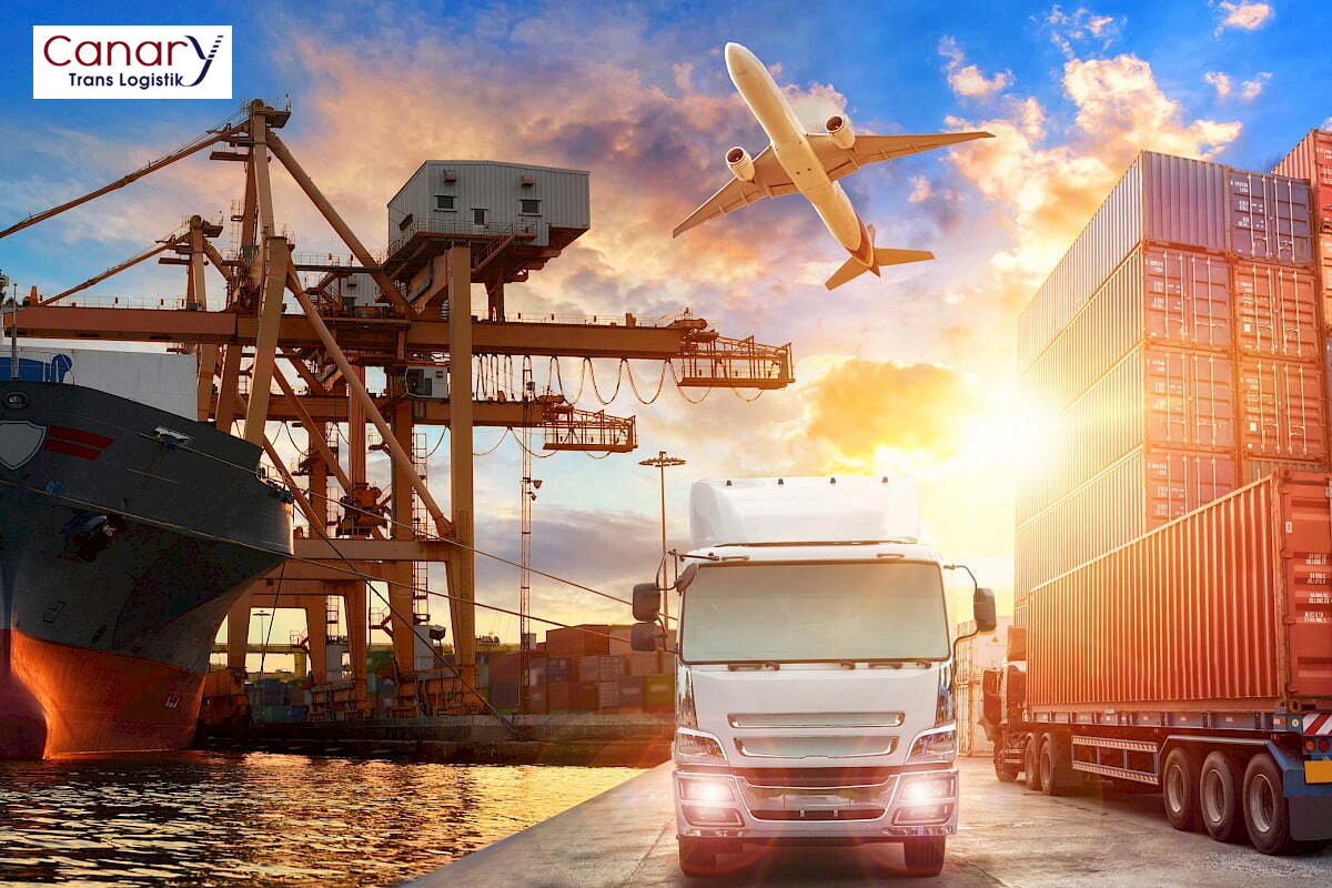 quản trị vận chuyển trong logistics - Sự phát triển dịch ở Việt Nam 